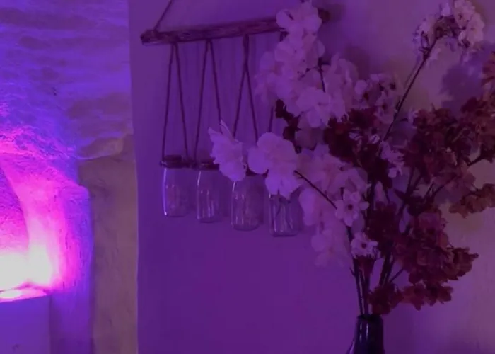 Le Cocon Secret Appartement *